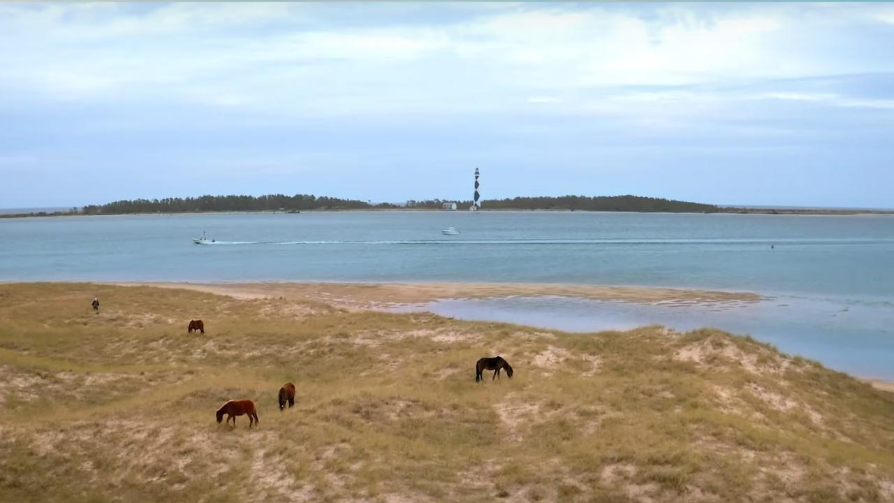 ノースカロライナ州沿岸の野生の馬と灯台を写した動画のスクリーンショット