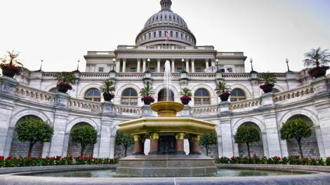 Monuments, culture and local flavor: a brief guide to Washington, D.C. 