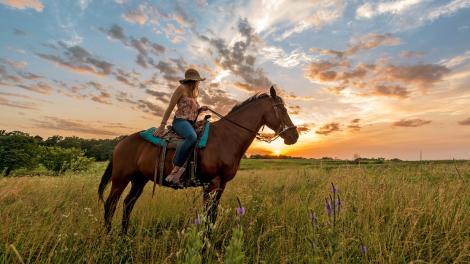 Exploring the Circle S Ranch by horseback