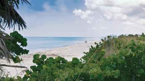 Pasea por las playas paradisíacas de arena blanca del Don Pedro Island State Park