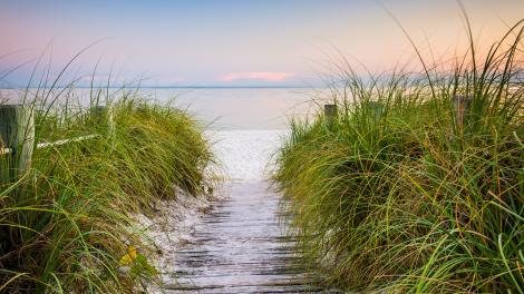 ¡Es hora de ir a la playa! 