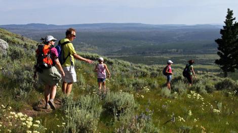 A family hiking in Yellowstone National Park