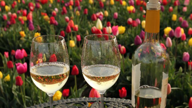 在 Wooden Shoe Vineyards 葡萄园细细品鉴各种葡萄酒,同时可欣赏位于伍德本的 Wooden Shoe Tulip Farm 郁金香农场那色彩缤纷的花卉彩虹。 在 Wooden Shoe Vineyards 葡萄园细细品鉴各种葡萄酒,同时可欣赏位于伍德本的 Wooden Shoe Tulip Farm 郁金香农场那色彩缤纷的花卉彩虹。