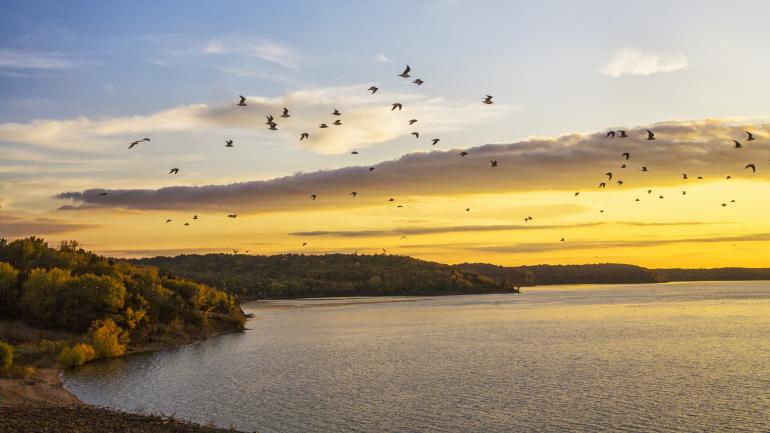 Beyond the water, hikers and photographers love to explore Clinton State Park’s trail system.