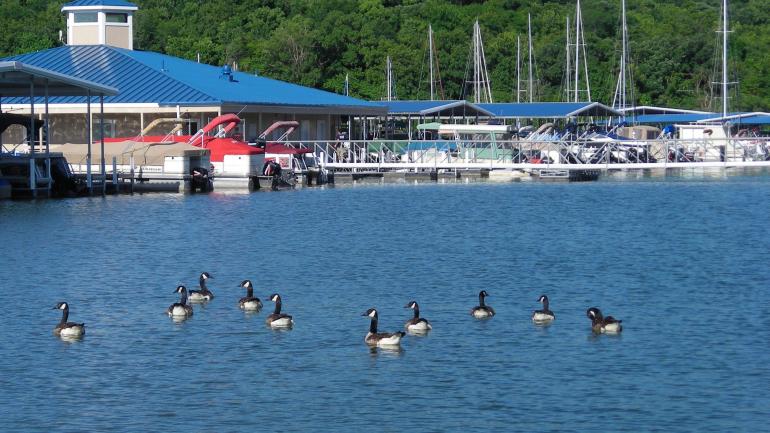 Lake Tuscaloosa is a popular vacation destination year-round.