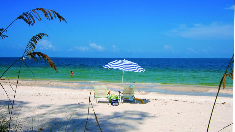 在那不勒斯 Delnor-Wiggins Pass State Park 州立公园的原始海岸边潜水、游泳或享受日光浴。