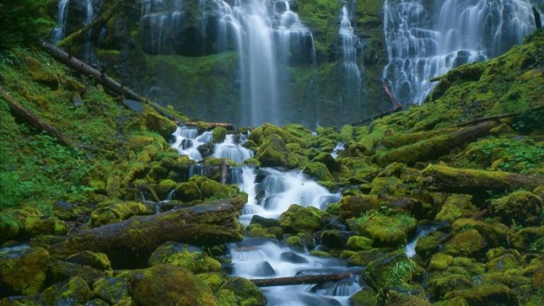 Just an hour from most Eugene breweries, you’ll discover hidden waterfalls and epic mountain bike trails.