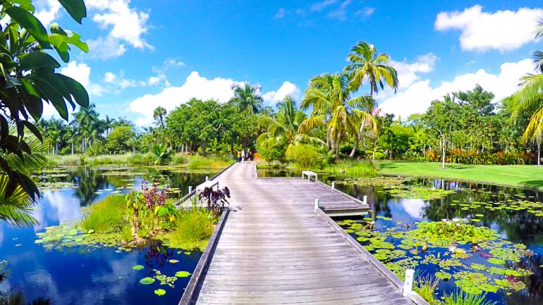 Lush scenery at Naples Botanical Garden