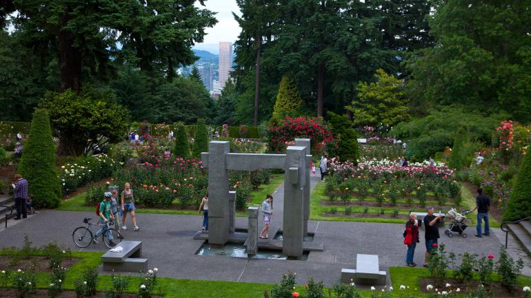 Hundreds of varieties in bloom at the International Rose Test Garden Hundreds of varieties in bloom at the International Rose Test Garden