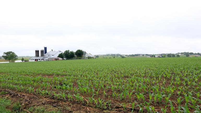 Open Amish farmlands in Lancaster
