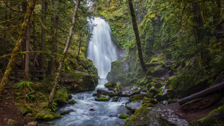 Randonnée sur un sentier forestier pour admirer la puissance et la beauté d’une cascade