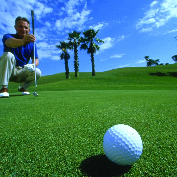 A man plans his putt on a Sarasota golf course A man plans his putt on a Sarasota golf course