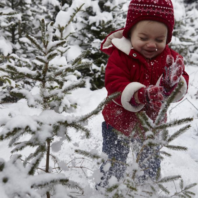 Leve suas botas: Syracuse tem mais neve que qualquer outra cidade nos EUA.