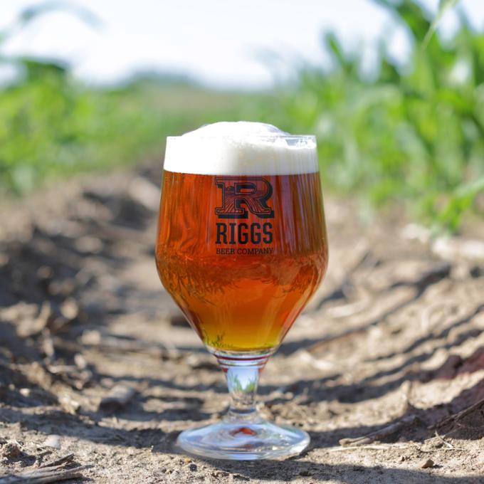 Ein Glas Bier der Riggs Beer Company in Urbana, Illinois