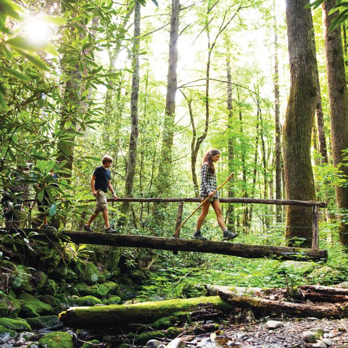 在田纳西州加特林堡 (Gatlinburg) 大烟山国家公园徒步旅行 在田纳西州加特林堡 (Gatlinburg) 大烟山国家公园徒步旅行