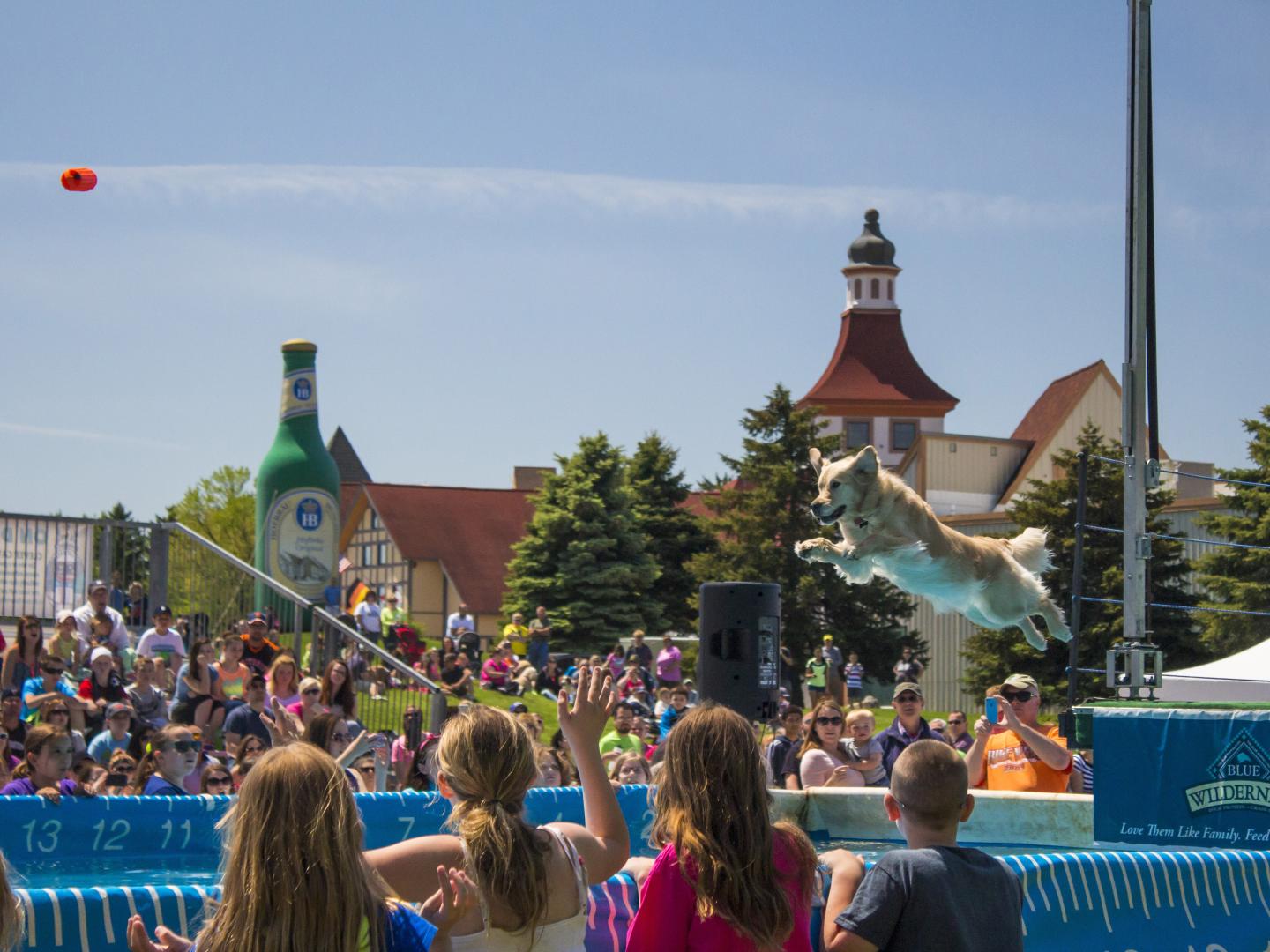 Leaping for the crowd at the DogBowl