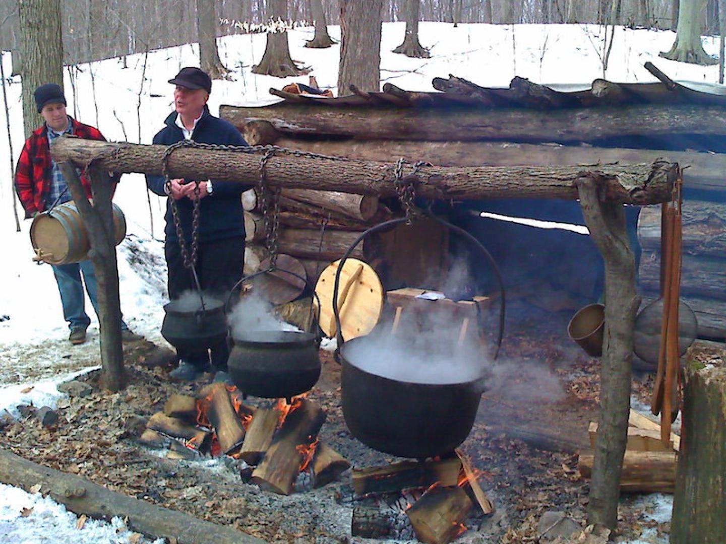 获取枫糖节指南