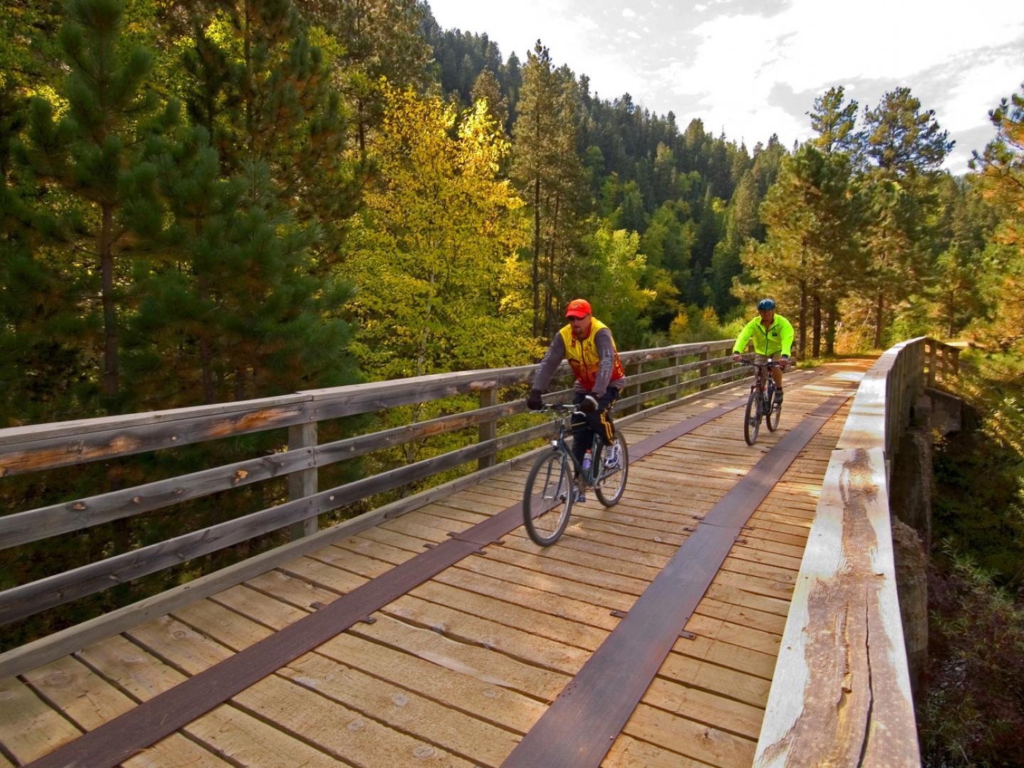 Cyclistes traversant un pont au cœur de la forêt verdoyante lors du Mickelson Trail Trek