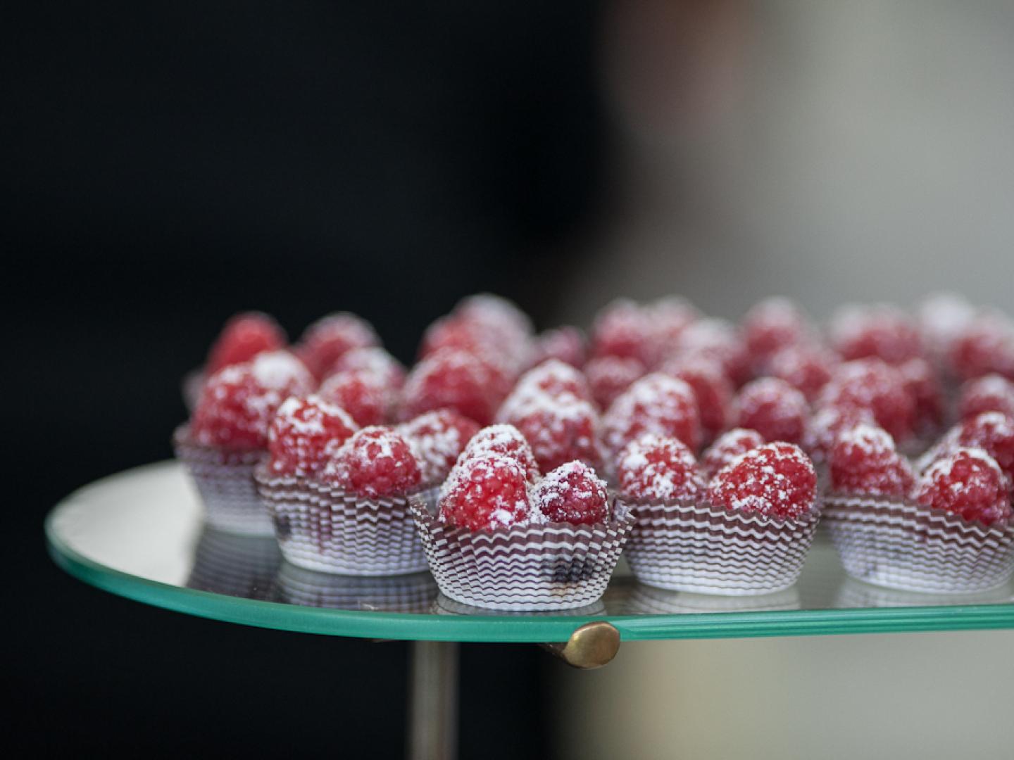 Délices culinaires lors du festival Chicago Gourmet au Millennium Park