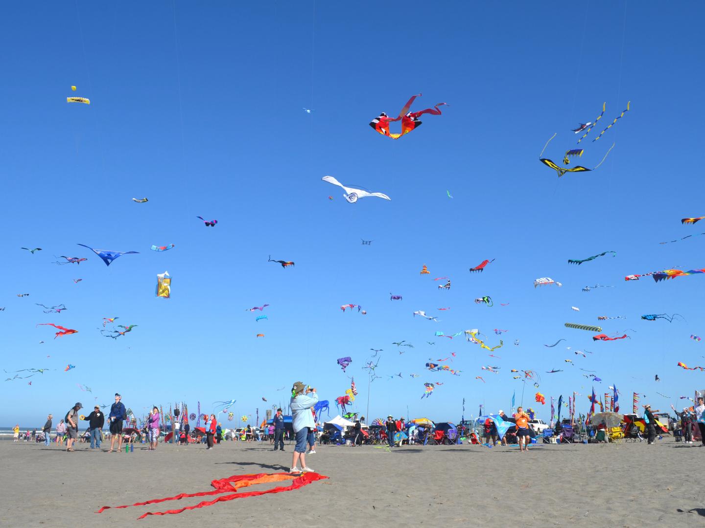 Farbenprächtige Drachen über der Long Beach Peninsula beim Washington State International Kite Festival