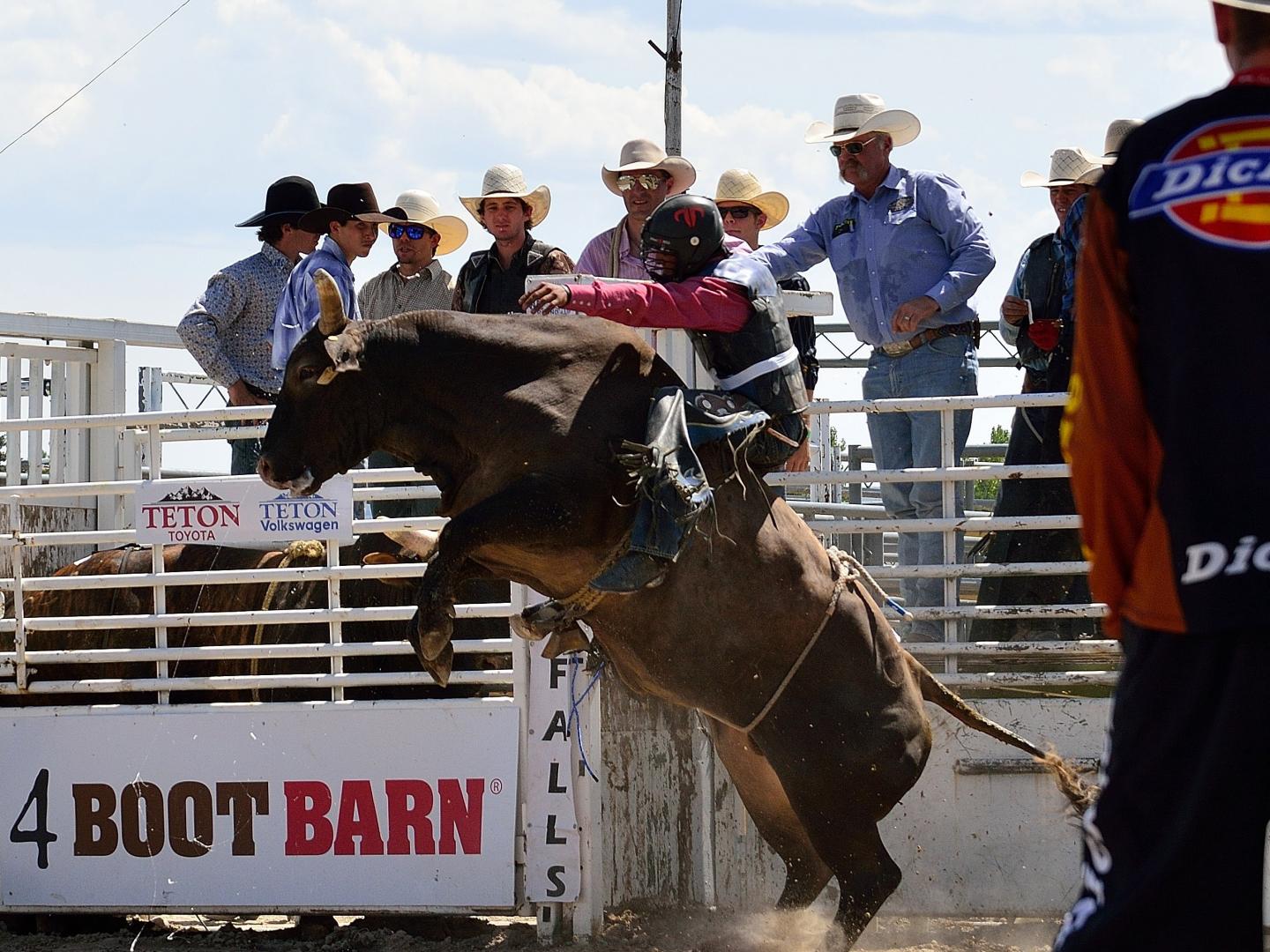Un jinete de toros durante el rodeo War Bonnet Round Up en Idaho Falls, Idaho