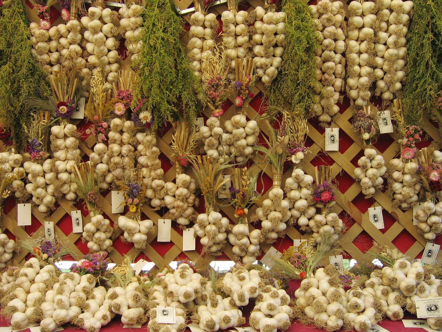 Tranças de alho de Earthly Mirth em Cantine Field, Saugerties, Nova York