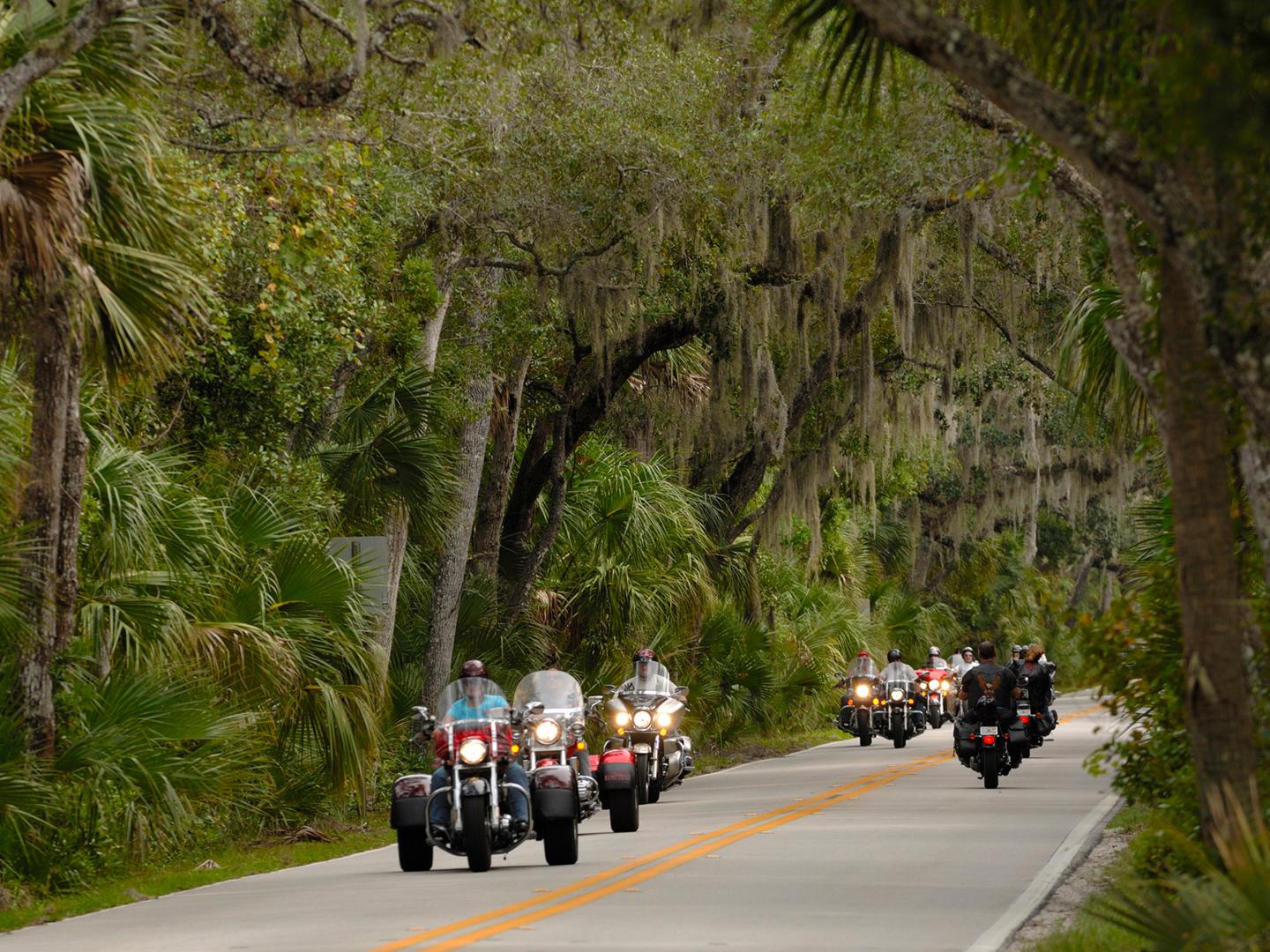Paseo en motocicleta por una calle arbolada durante el festival Biketoberfest en Daytona Beach, Florida