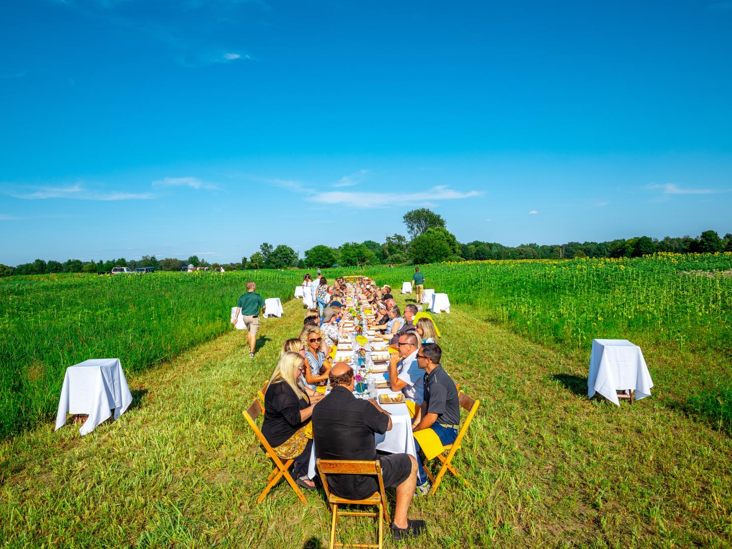 Dining in a flower field during the Frankenmuth Flower Festival in Frankenmuth, Michigan