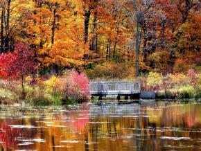 Flammende Herbstfarben im Lake County