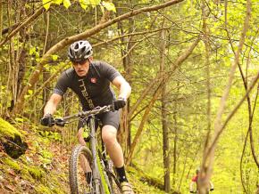 Official Travel South Information