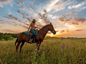 Exploring the Circle S Ranch by horseback Exploring the Circle S Ranch by horseback