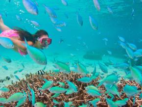 Snorkeling in Tumon Bay