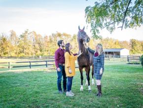 Petting a gentle American Saddlebred at a horse farm