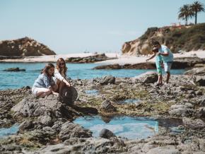 Spannender Blick in die artenreichen Gezeitentümpel an einem der örtlichen Strände