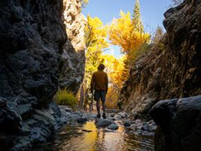 Zapata Falls Trail near Alamosa, Colorado