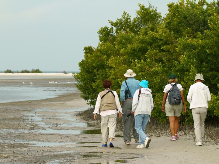 Los amantes de las aves explorando la Rookery Bay durante el Southwest Florida Festival of Birds
