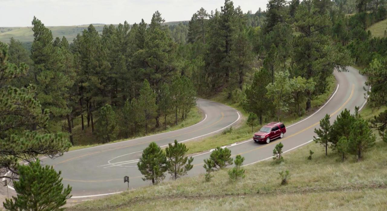 Winding road through hills and forests in Custer State Park in Custer, South Dakota