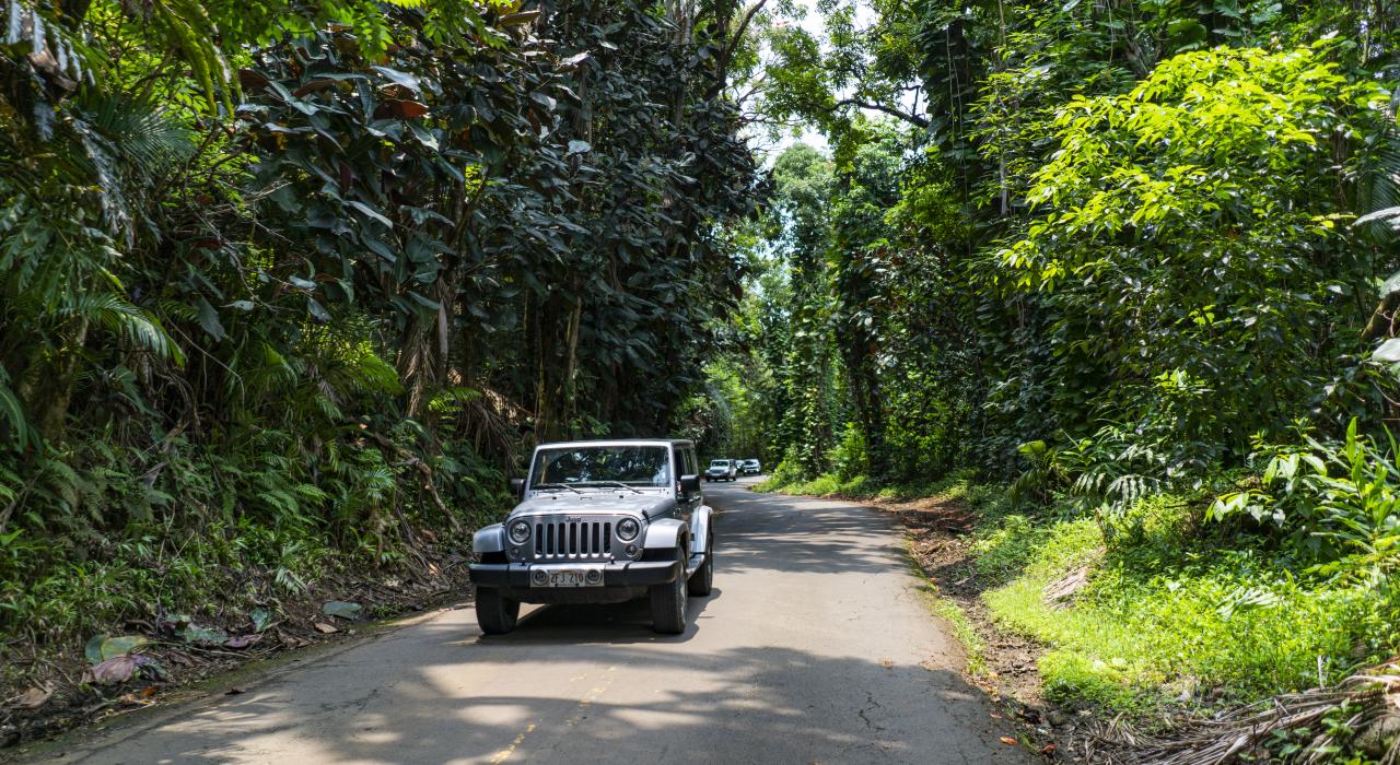 Um Jeep é o veículo ideal para uma viagem de carro pelas paisagens exuberantes do Havaí