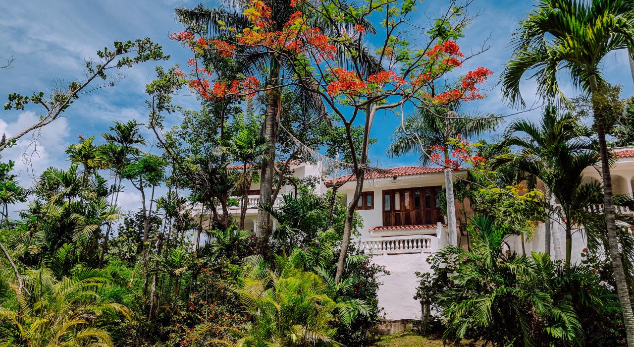 The Horned Dorset, a small luxury hotel in Rincon, Puerto Rico