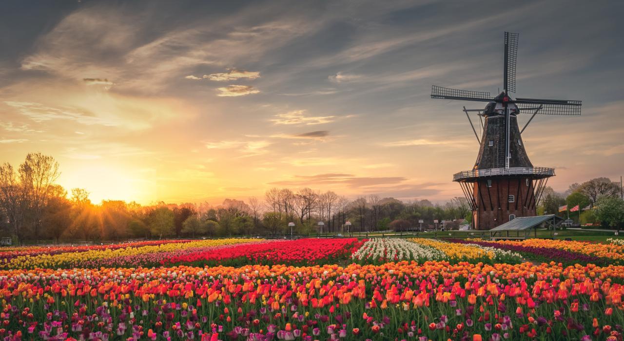 The DeZwaan Windmill surrounded by blooming tulips at Windmill Island Gardens