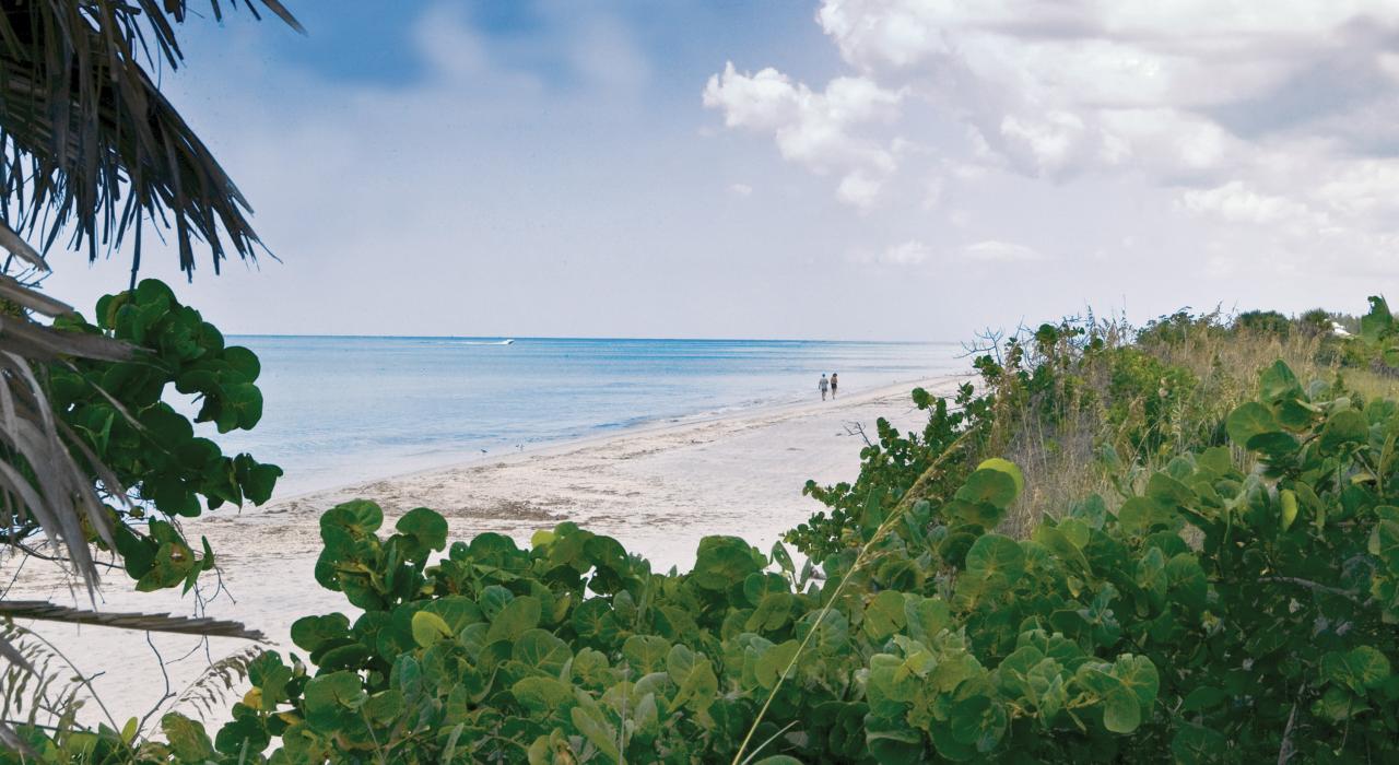 Promenade sur les plages de sable blanc immaculées du Don Pedro Island State Park