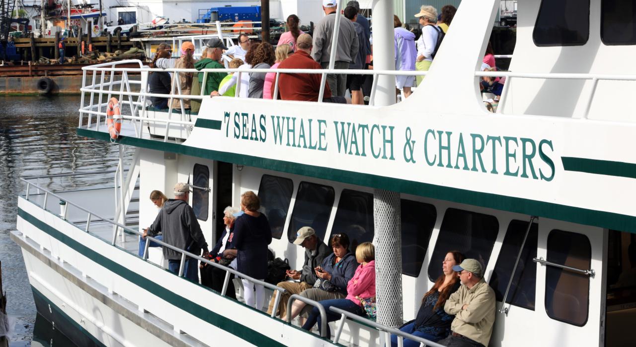 Visitors enjoying a whale-watching tour in Gloucester, Massachusetts