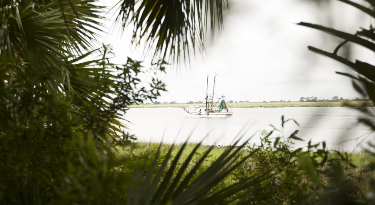 Veleiras passam pela costa das Golden Isles, Georgia