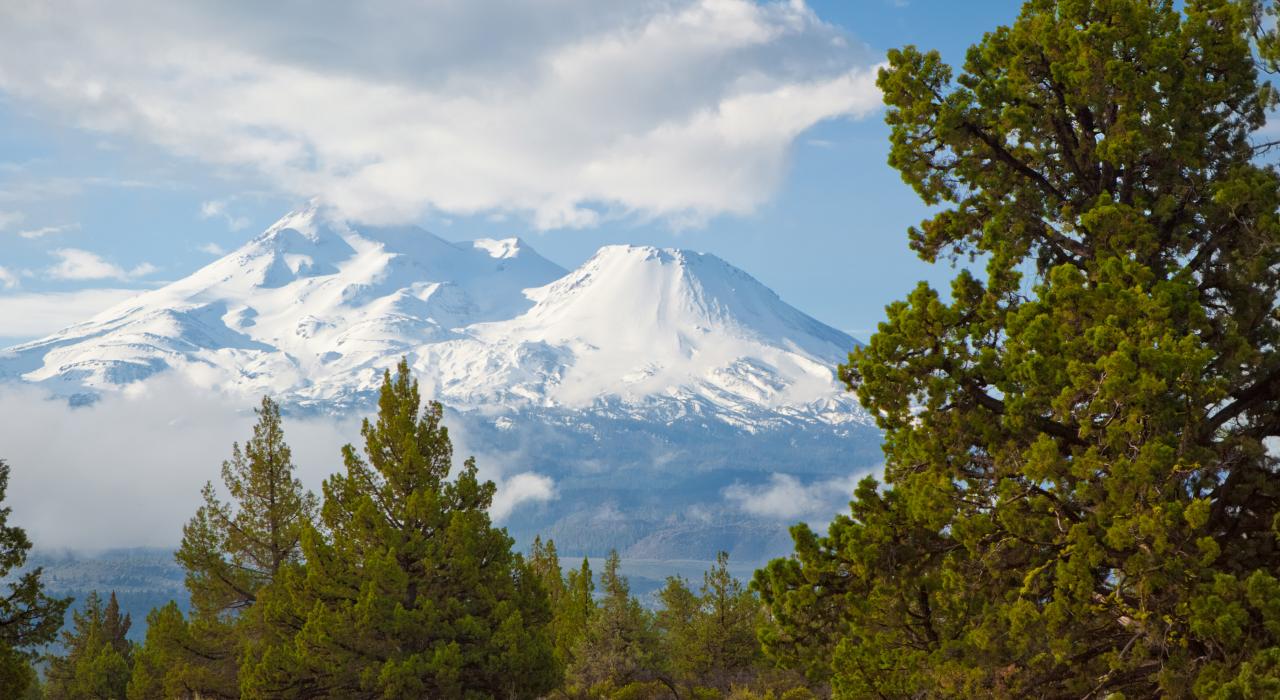 Der schneebedeckte Mount Shasta, ein berühmtes Wahrzeichen