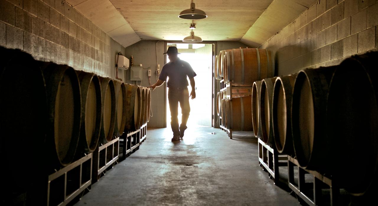 Wine cave in West Monroe, Louisiana