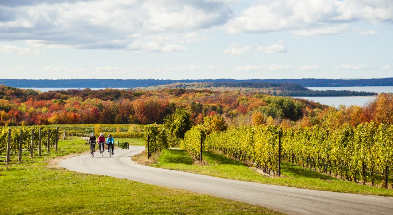 Paseando en otoño por un viñedo de Traverse City