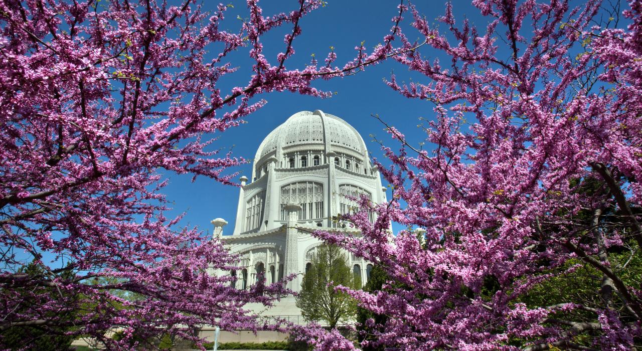Lila Blütenpracht vor dem Baha’i House of Worship in Wilmette