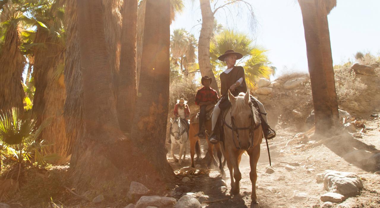 骑上马背穿越风景秀丽的印度峡谷，沿途欣赏淙淙溪流和原生棕榈树林
