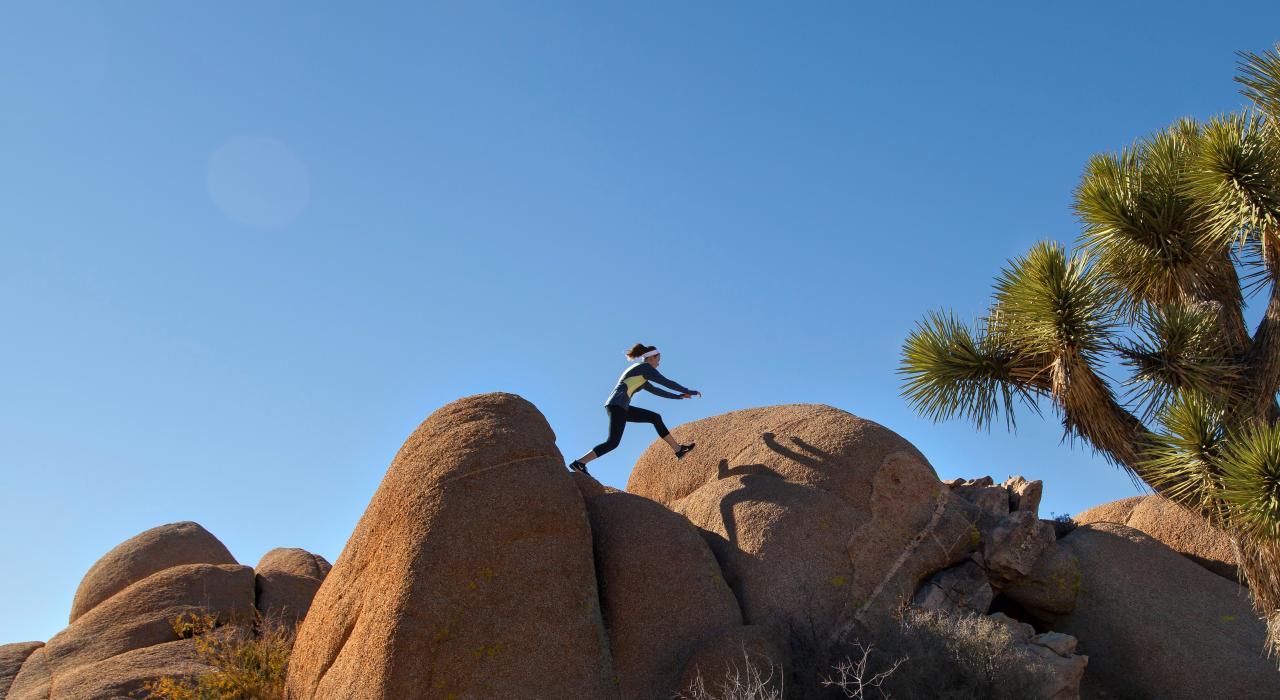 到约书亚树国家公园体验一次游览巨石与约书亚树的壮美远足之旅