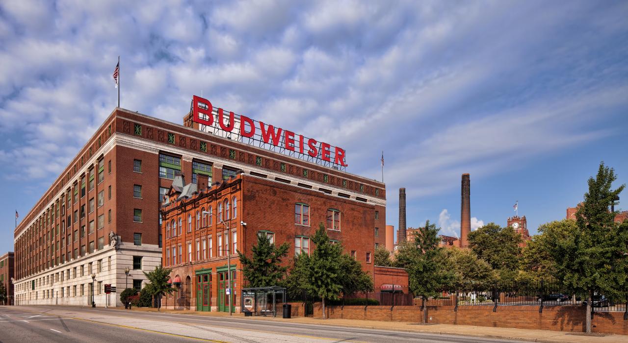 在安海斯 - 布希聖路易斯釀酒廠和遊客中心試喝啤酒